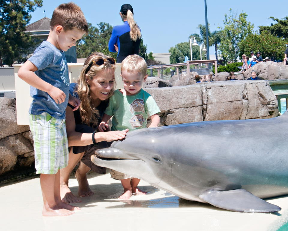 Sheryl Crow and her sons Wyatt Crow and Levi Crow at SeaWorld San Diego on July 26, 2012 in San Diego, California. (Photo by Mike Aguilera/SeaWorld San Diego via Getty Images)