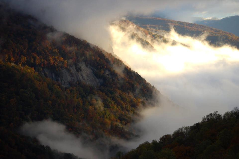 South Carolina: Mountain Bridge Wilderness Area, Cleveland