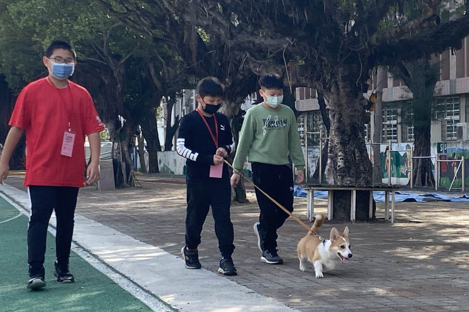 村上國小「樂樂小志工」在校園內帶校狗散步