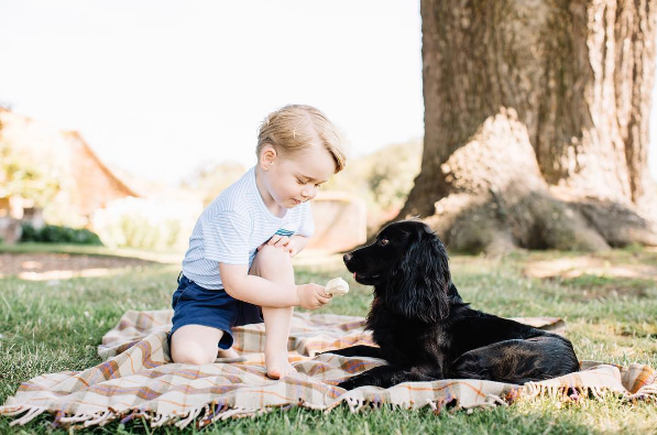 Prince George and Lupo