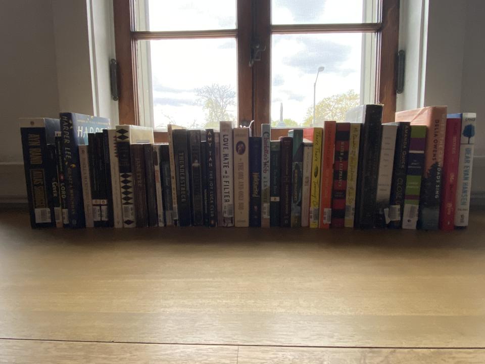 photo of several books lined up