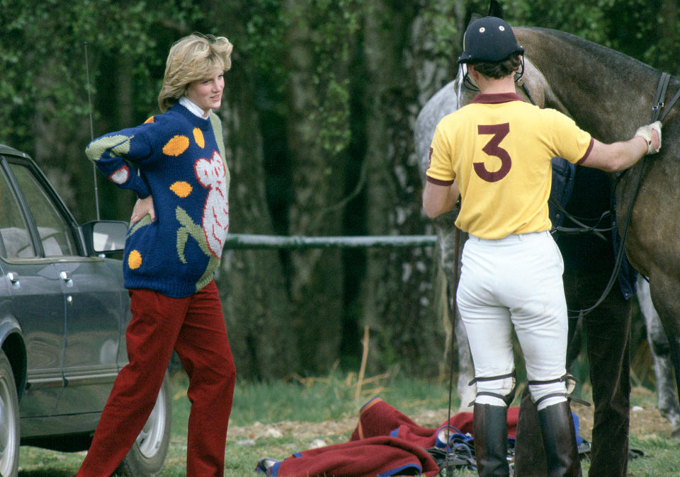 <p>Princess Diana cozied up in fun sweaters, like this jumper depicting a koala, while pregnant.</p>