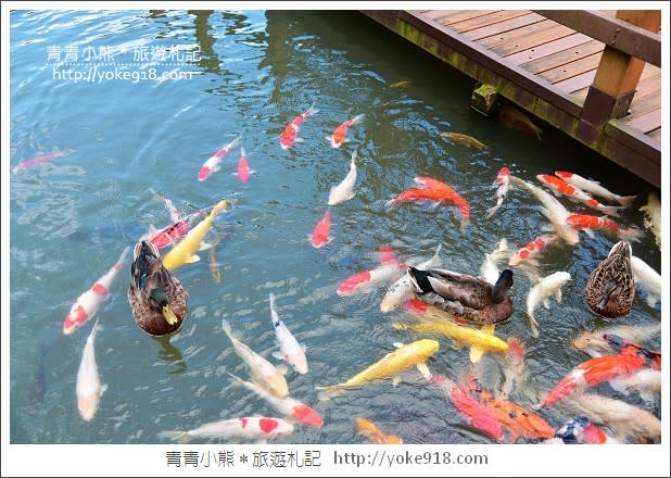 台北景觀餐廳》氧森谷．充滿綠意的世外桃源