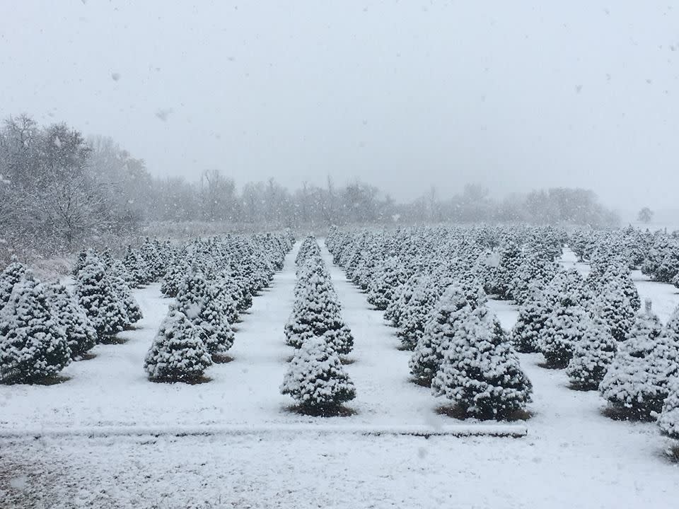 Kansas: Pine Creek Farm, Newton