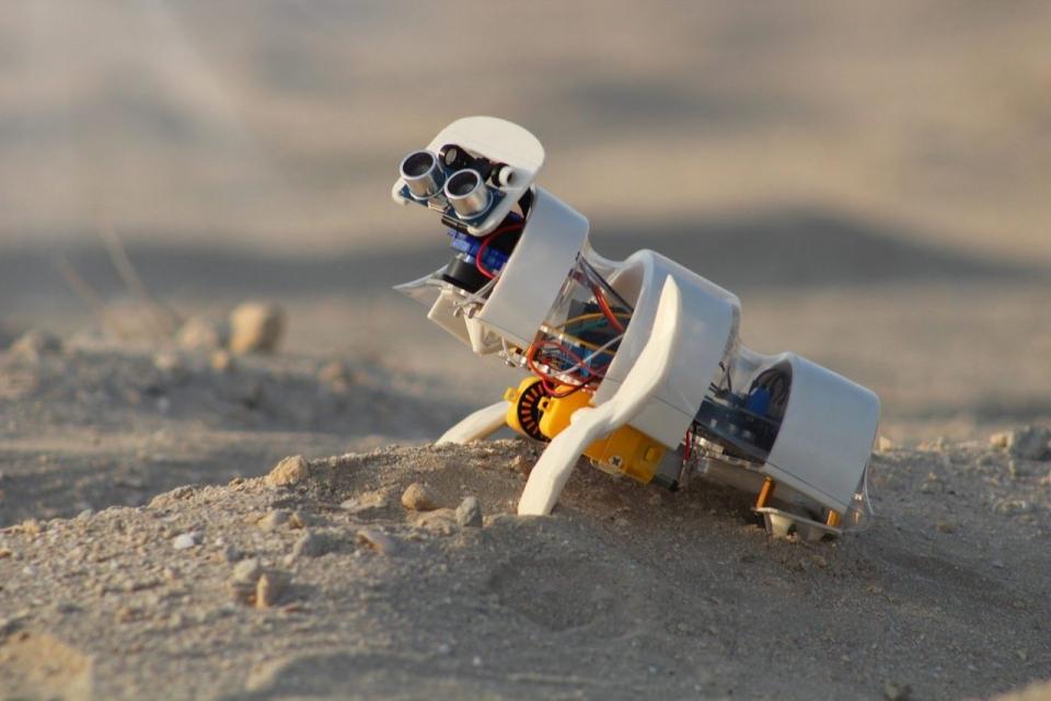 The tiny A'seedbot desert robot drone combs the desert in search of potential planting spots.