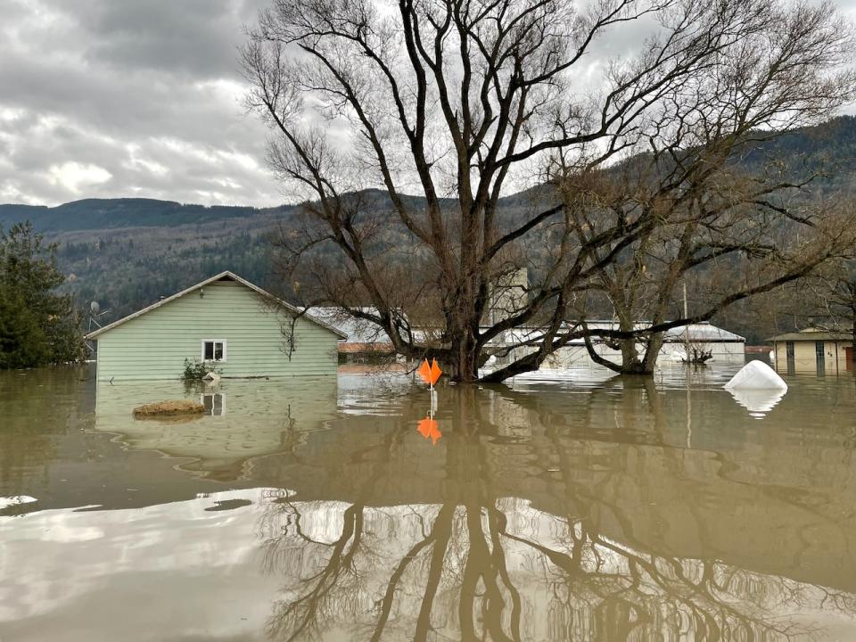 Flooding in Sumas Prairie, Abbotsford, B.C., where a dike that was surveyed in 2015 as inadequate by the government breached.