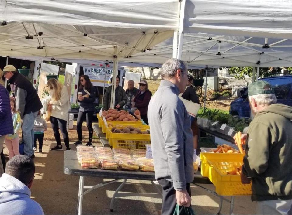 Find the Davidson Farmers Market next to Town Hall in Davidson.