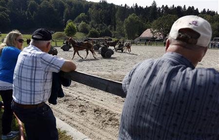 Family members and friends of recruits from the veterinary troops attend an official visiting day at a Swiss army base in Sand bei Schoehnbuehl, outside Bern September 7, 2013. REUTERS/Ruben Sprich