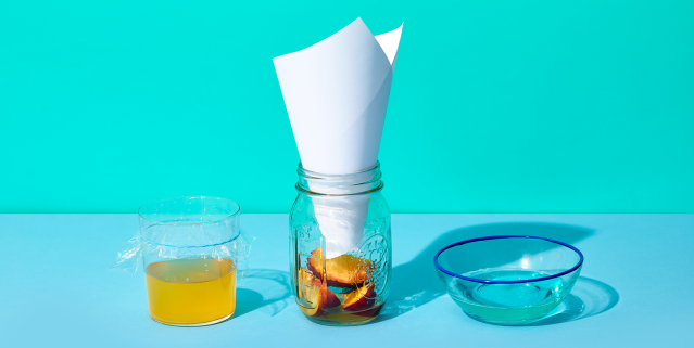 Sick of Fruit Flies in Your Kitchen? Here's How to Get Rid of Them ・  Everyday Cheapskate