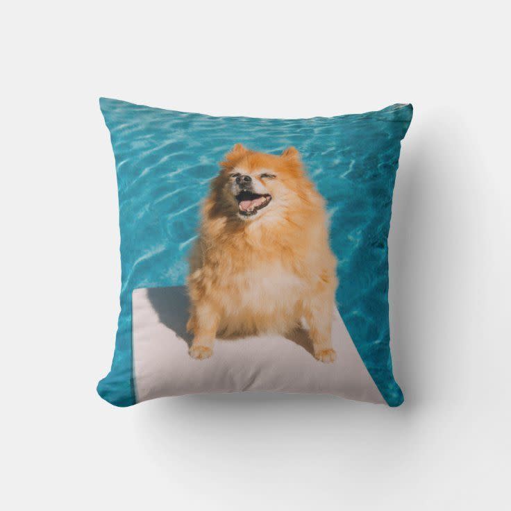 <p>Throw Pillow, Throw Pillow 16</p><p>zazzle.com</p><p>$25.72</p><p><a href="https://go.redirectingat.com?id=74968X1596630&url=https%3A%2F%2Fwww.zazzle.com%2Fcreate_your_own_polyester_throw_pillow_16x16-189564875668241920&sref=https%3A%2F%2Fwww.seventeen.com%2Flove%2Fa20368%2Faffordable-boyfriend-valentines-day-gifts%2F" rel="nofollow noopener" target="_blank" data-ylk="slk:Shop Now;elm:context_link;itc:0;sec:content-canvas" class="link ">Shop Now</a></p><span class="copyright">zazzle.com</span>