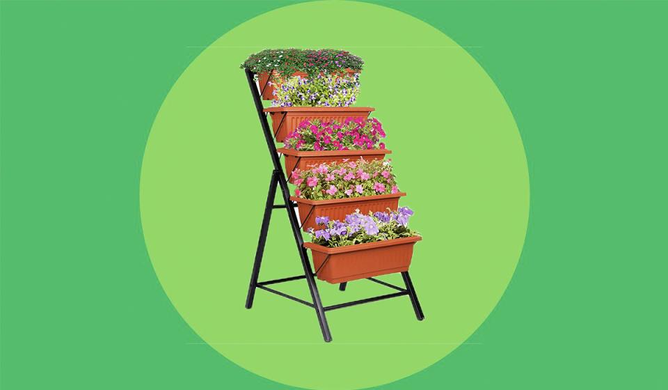 Stack up the flora — and the savings. (Photo: Walmart)