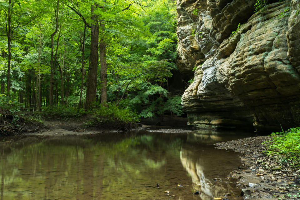 Illinois: Starved Rock State Park