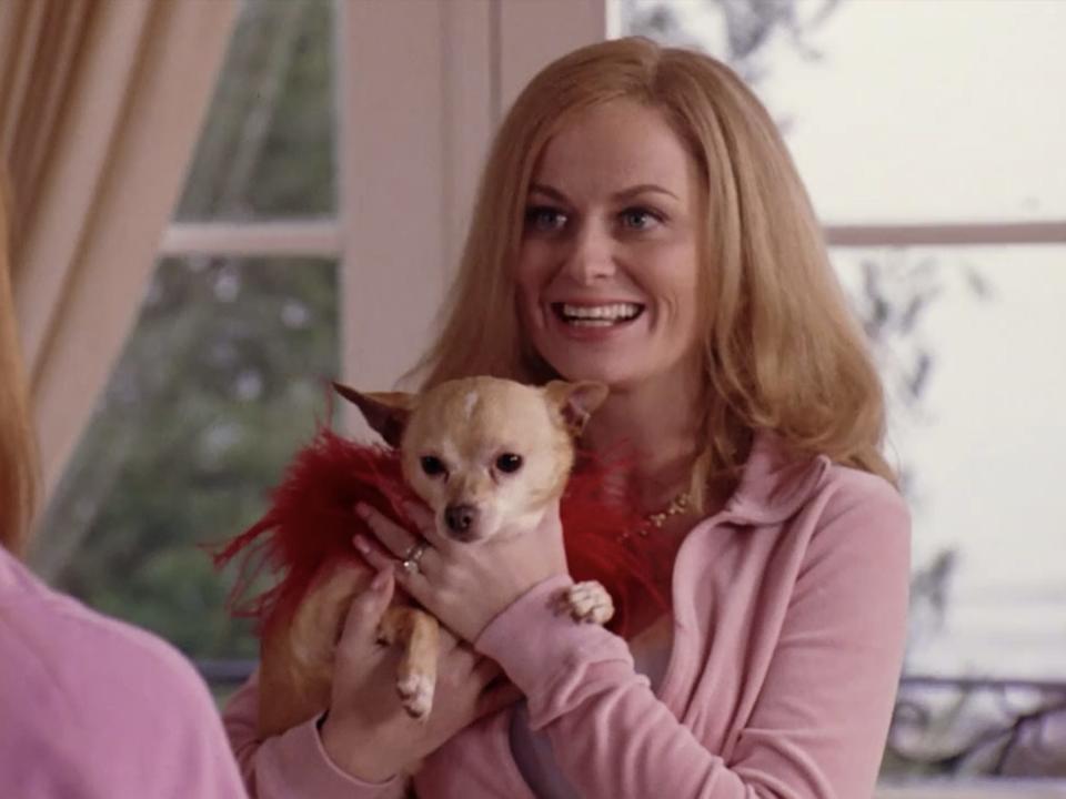 Amy Poehler in "Mean Girls."