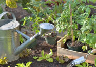 <p> Les tomates font partie de la famille des légumes du soleil qui demandent beaucoup de chaleur nécessaire au mûrissement des fruits.<b> Que ce soit les pieds de tomates <a href="https://www.elle.fr/Deco/Exterieur/Jardin/Comment-semer-ses-legumes-au-potager-4008002" rel="nofollow noopener" target="_blank" data-ylk="slk:semés;elm:context_link;itc:0;sec:content-canvas" class="link ">semés</a> ou achetés, vous devez les maintenir à l’abri jusqu’à la 2<sup>ème</sup> semaine de mai avant de les planter à leur emplacement définitif</b>. Pour les jardiniers qui habitent dans le sud de la France, la plantation peut être anticipée car les conditions climatiques sont plus favorables. Plantez donc les plants de tomate à partir du mois d’avril.<br>Une autre solution s’offre à vous pour anticiper la plantation des tomates partout en France : la culture sous tunnel ou serre avec une température d’au moins 18 °C. Courant mai, les pieds vont pouvoir être plantés et se développer à l’abri des intempéries. En général, un pied bien développé qui mesure entre 15 et 20 cm avec 5 à 7 feuilles peut être planté.</p><p>Le conseil de ELLE. fr : <b>n’oubliez pas d’échelonner les plantations et les variétés afin de prolonger le plus possible les récoltes</b>.</p><br>