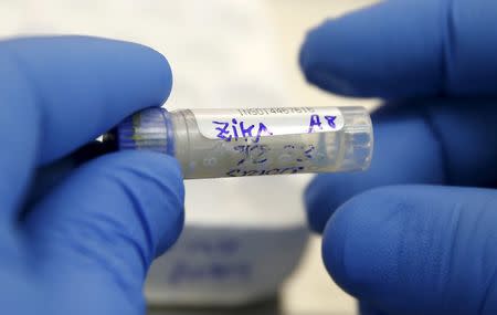 A health technician analyzes a blood sample from a patient bitten by a mosquito at the National Institute of Health in Lima, Peru, February 2, 2016. REUTERS/Mariana Bazo