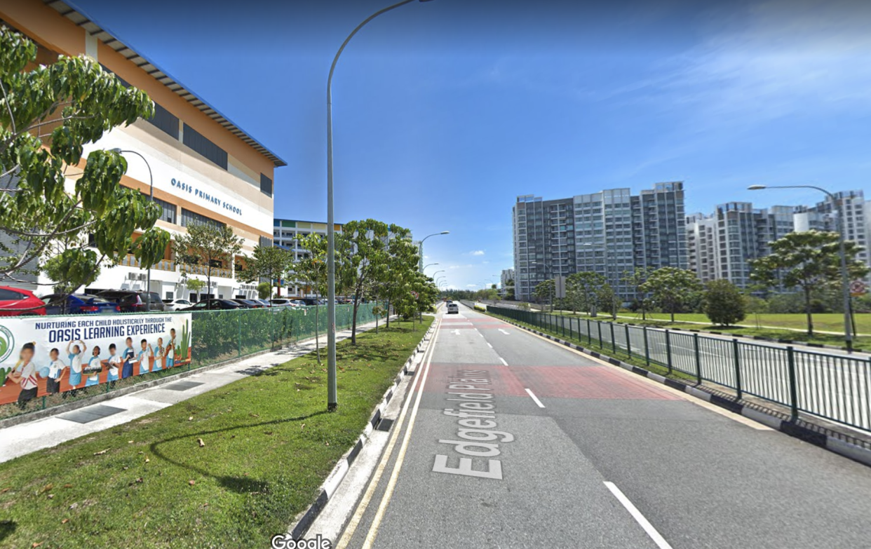 The road along Edgefield Plains. (PHOTO: A screenshot from Google Street View)