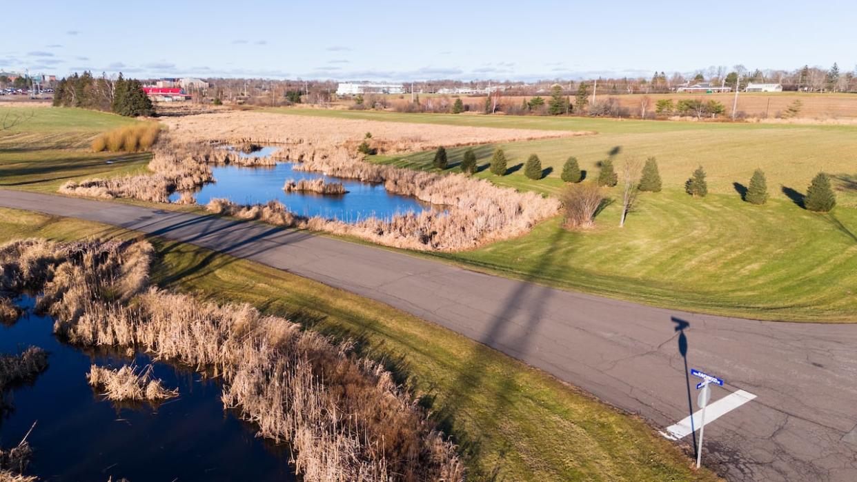 The experimental farm in Charlottetown is between Belvedere Avenue and Allen Street in  the central part of the city. (Shane Hennessey/CBC - image credit)