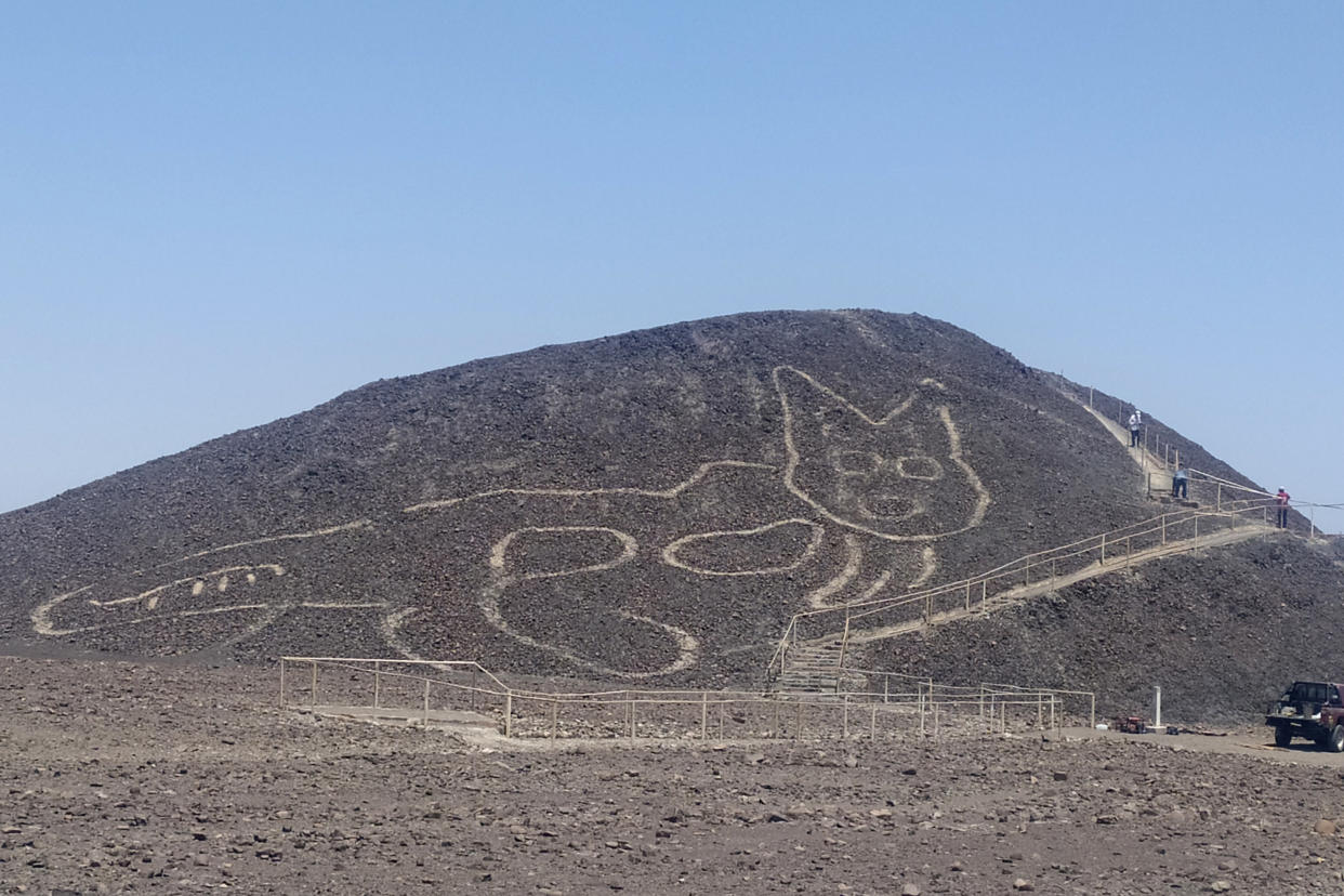 Una foto proporcionada por el Plan de Gestión Nasca-Palpa del Ministerio de Cultura muestra la figura de un felino en una colina en Nasca, Perú, el 9 de octubre de 2020. (Johny Isla/Plan de Gestión Nasca-Palpa del Ministerio de Cultura de Perú vía The New York Times)