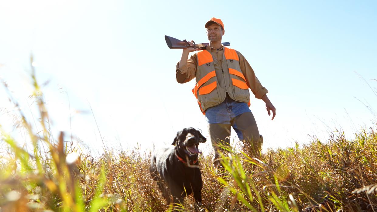  Hunter wearing orange-accented jacket, walking with dog 