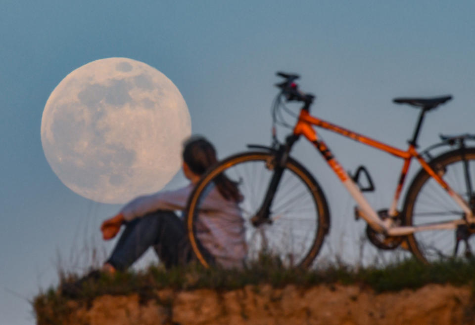 Brandenburg, Sieversdorf: "Wenn der Mond im Perigäum steht und zugleich die Vollmondphase durchläuft, sprechen wir seit einigen Jahrzehnten – vor allem in den Medien – von einem Supermond, weil die Mondscheibe maximal groß und hell wird", wird der Astronom Manfred Gaida auf der DLR-Homepage zitiert. (Bild: Patrick Pleul/ Getty Images)