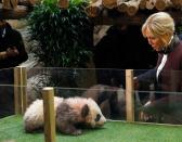 <p>Die französische Präsidentengattin Brigitte Macron nimmt an der Taufzeremonie für einen Baby-Panda teil, der im Zoo „Beauval“ nahe der französischen Stadt Saint-Aignan geboren wurde. Das vier Monate alte Jungtier heißt Yuan Meng, was „die Verwirklichung eines Wunsches” oder „Erfüllung eines Traums” bedeutet. Geburten von Riesenpanda-Babys in Zoos sind äußerst selten. (Bild: AP Photo/Thibault Camus, Pool) </p>