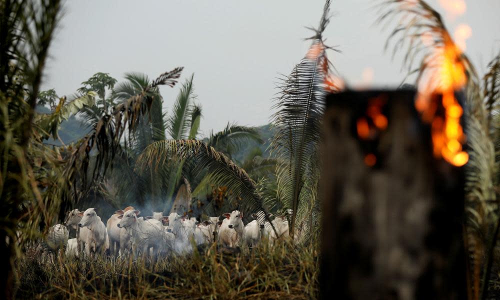 <span>Photograph: Bruno Kelly/Reuters</span>