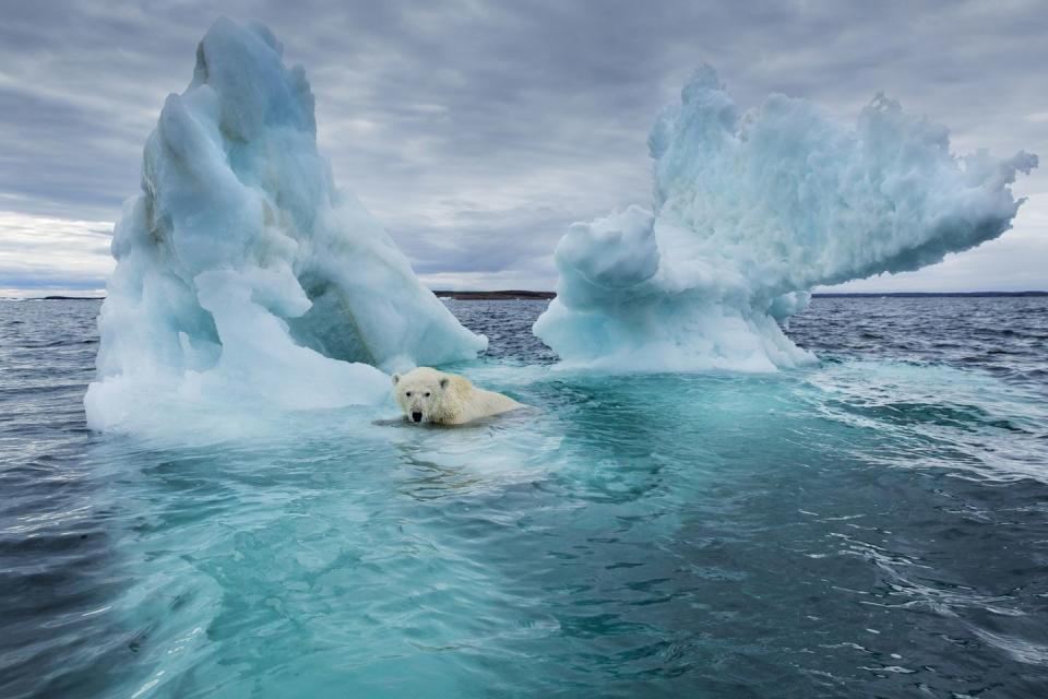 Photo credit: Paul Souders - Getty Images