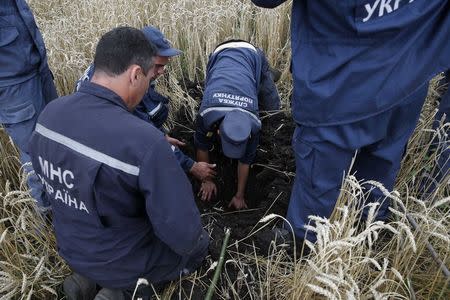 Members of the Ukrainian Emergency Ministry search for bodies near the site of Thursday's Malaysia Airlines Boeing 777 plane crash near the settlement of Grabovo, in the Donetsk region July 18, 2014. REUTERS/Maxim Zmeyev