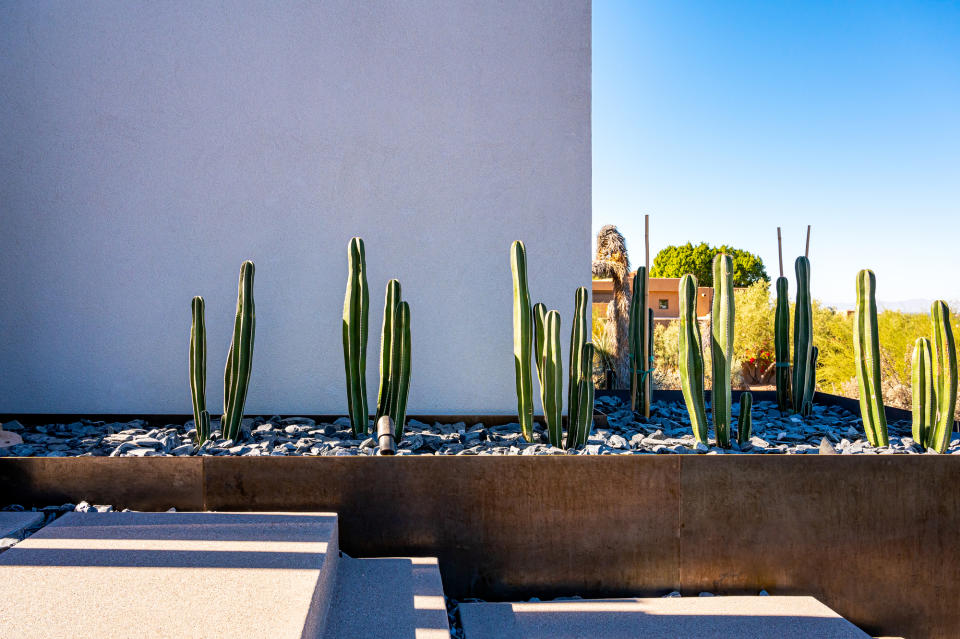 Landscaping with rocks mixed with cacti