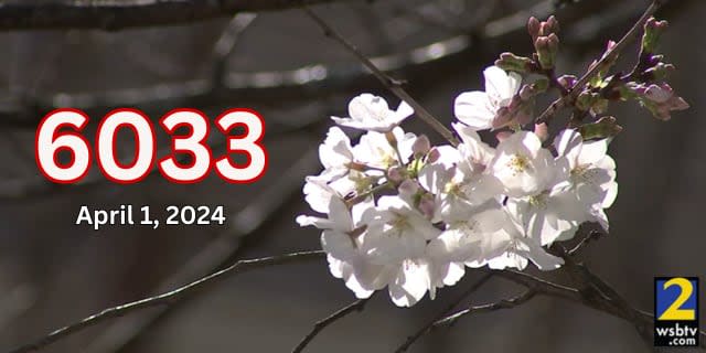 Atlanta Allergy & Asthma has been measuring pollen count for 35 years. Here are the highest pollen counts the group has recorded.