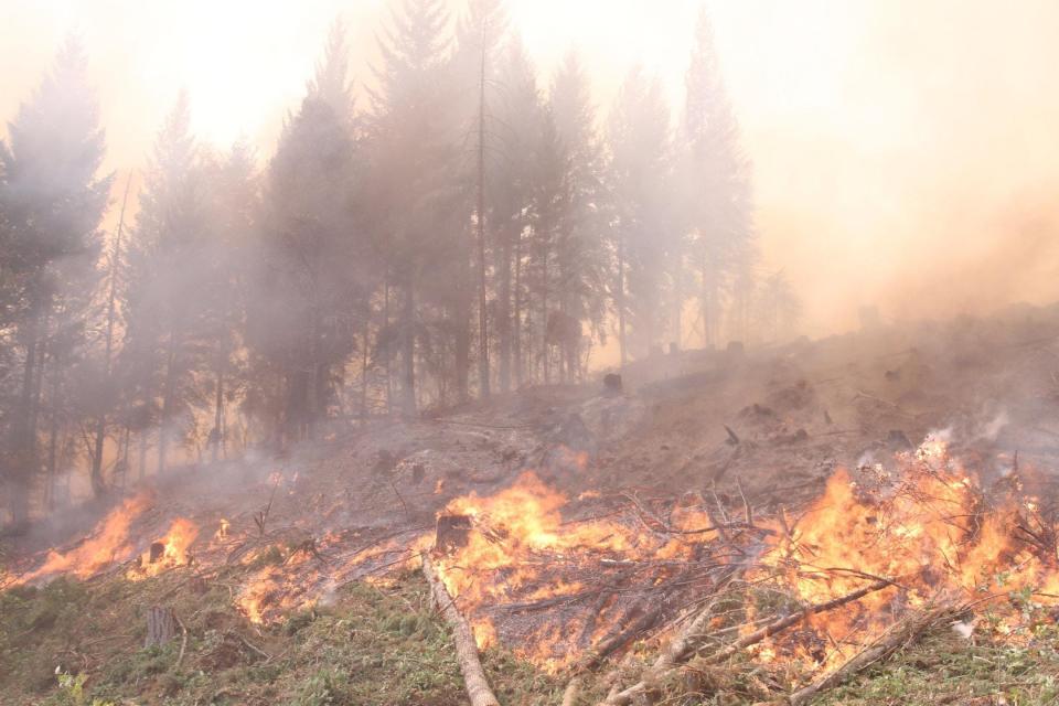 Views from burnout operations on the Lookout Fire burning in the McKenzie River Corridor.