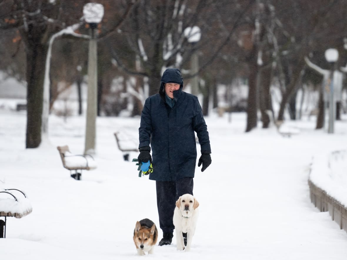 A person walks two dogs along the Rideau River in Ottawa's Sandy Hill neighbourhood late last month. (Spencer Colby/The Canadian Press - image credit)