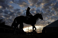 A horse heads back to a barn after an early-morning workout at Churchill Downs Wednesday, May 1, 2024, in Louisville, Ky. The 150th running of the Kentucky Derby is scheduled for Saturday, May 4. (AP Photo/Charlie Riedel)