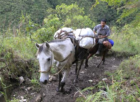 A peasant transports food on his mules on a path close to Marquetalia in the department of Tolima May 2, 2014. REUTERS/Jaime Saldarriaga