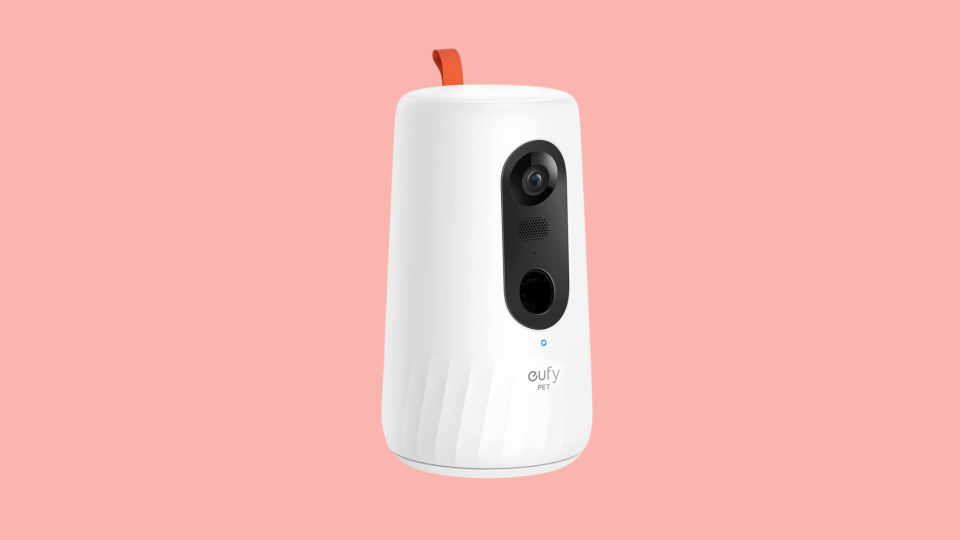 Best holiday gifts for dogs: Eufy Pet Camera.