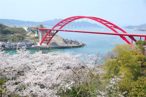 原本雄獅旅遊獨包的賞櫻遊輪「世界夢號」、「威尼斯號」在年前報名就已達約6成。（圖／雄獅旅遊提供）