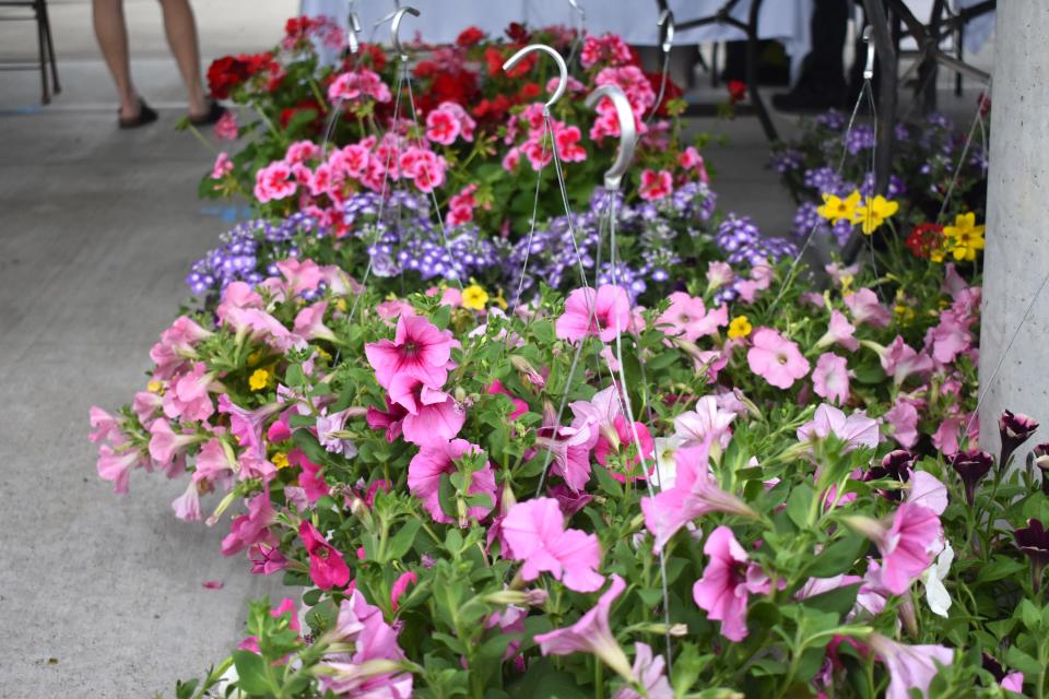 Plants and hanging baskets, like those seen here, were among the locally grown items offered for sale at Saturday's grand opening of the Adrian City Market at the Pavilion in downtown Adrian. Vendors offered many goods at this weekend’s market including fresh fruits and vegetables, eggs, honey, baked foods, sweets, and handmade crafts.