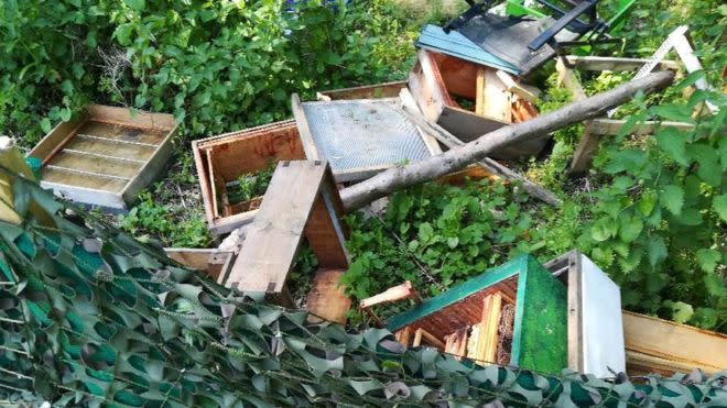 The vandals scaled a fence to destroy the hives (Northumbria Police)