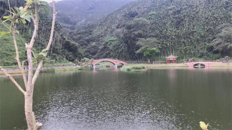 台灣趴趴走／荒蕪水池變新景點？馬錫山秘境報你知！