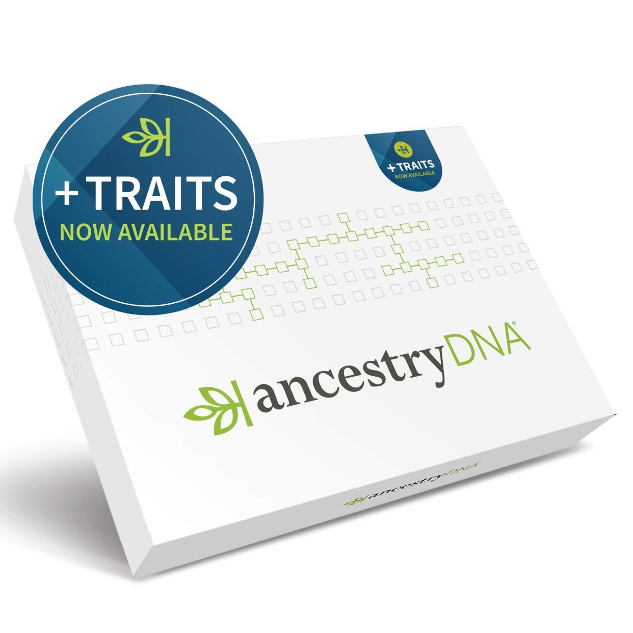 <p><a href="https://www.ancestrydna.com/kits/" rel="nofollow noopener" target="_blank" data-ylk="slk:Shop Now;elm:context_link;itc:0;sec:content-canvas" class="link rapid-noclick-resp">Shop Now</a></p><p>DNA Test</p><p>$99.00</p><p>ancestrydna.com</p>