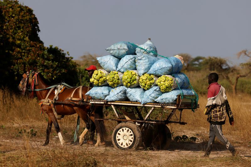 Small farmers plead for adequate support as leaders discuss food security priorities