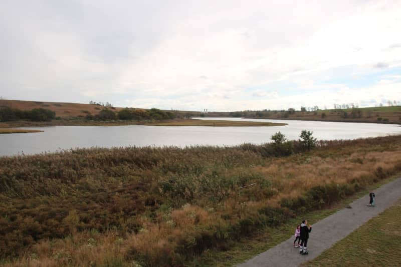 "The opening of Freshkills Park is a major milestone for NYC Parks," says NYC Parks Commissioner Sue Donoghue, calling it a "shining example of how restoring habitats can benefit wildlife in urban areas." Christina Horsten/dpa