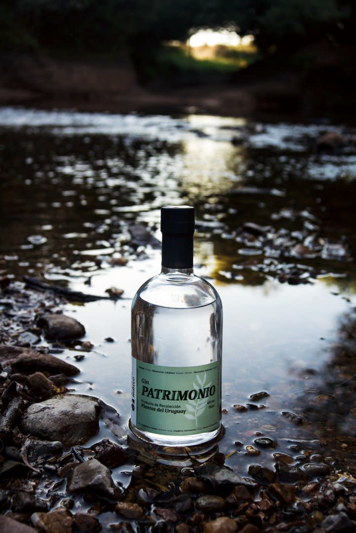 Gin Patrimonio