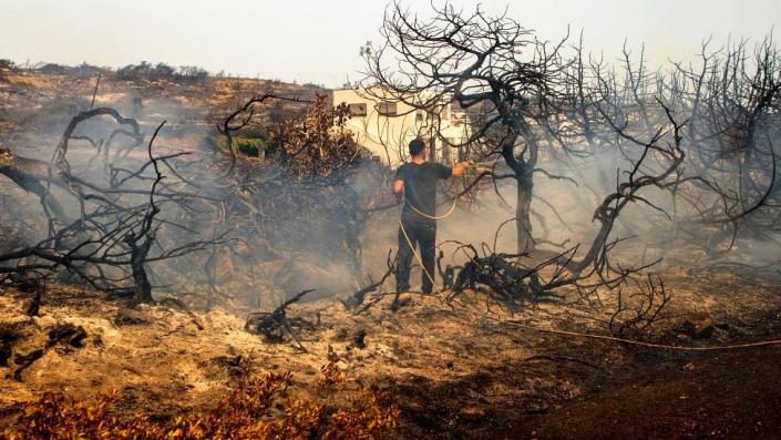 Devastación dejada tras los incendios forestales en Rodas