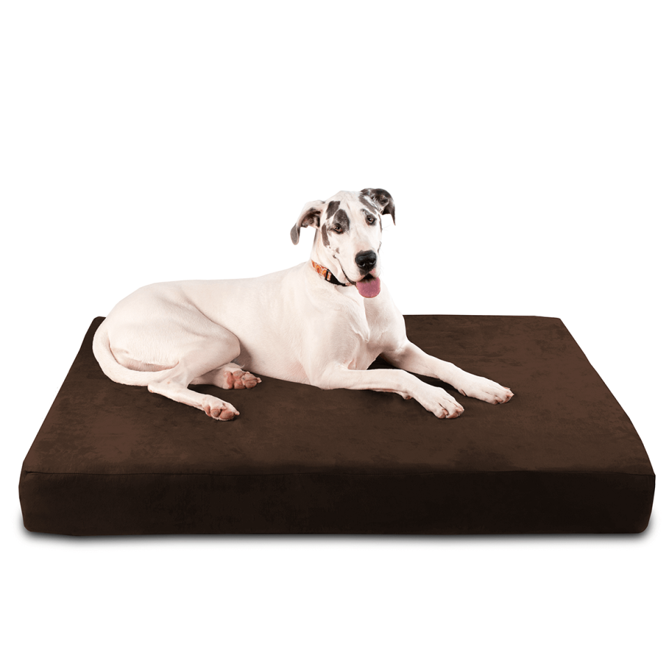 Orthopedic Dog Bed