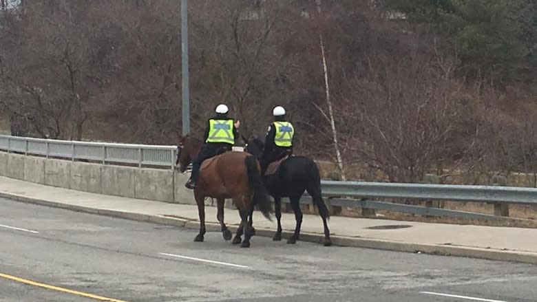 Man, 77, found dead in Toronto in woods 1 day after being reported missing