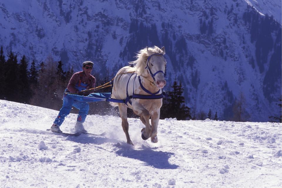 <p>Skijoring first appeared as a demonstration sport at the 1928 Winter Games. The racing event featured a skier towed to a horse, dogs or reindeer. </p>