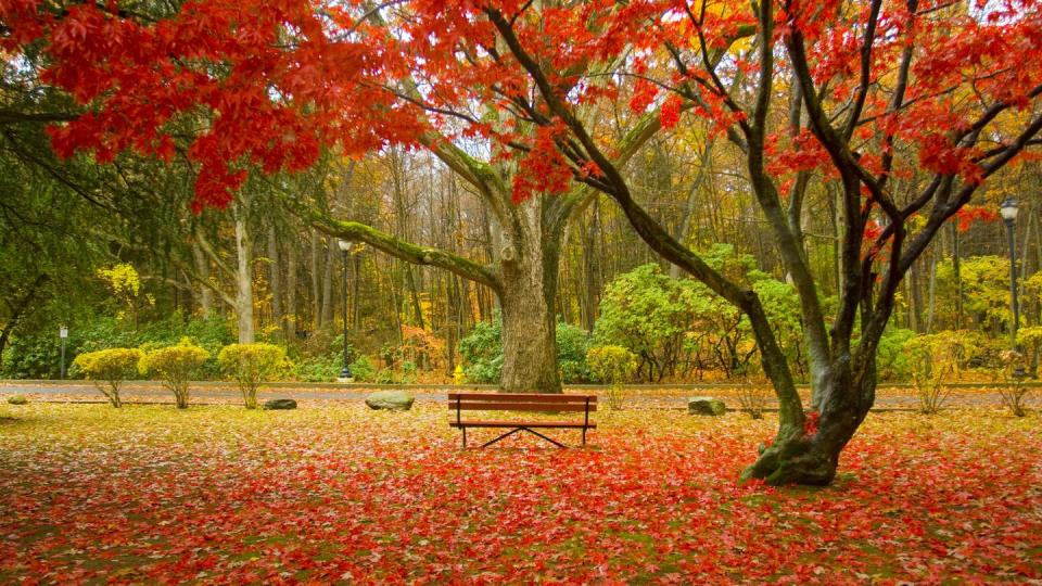 best fall pictures