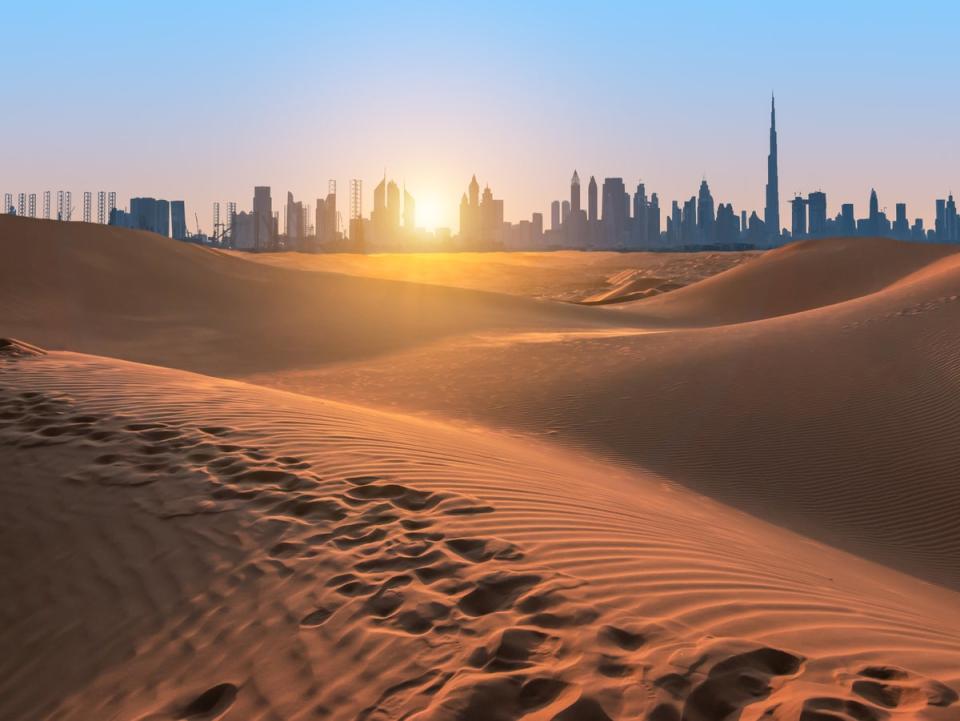 Dubai’s relentless growth is a threat to the area’s desert habitat (Getty)