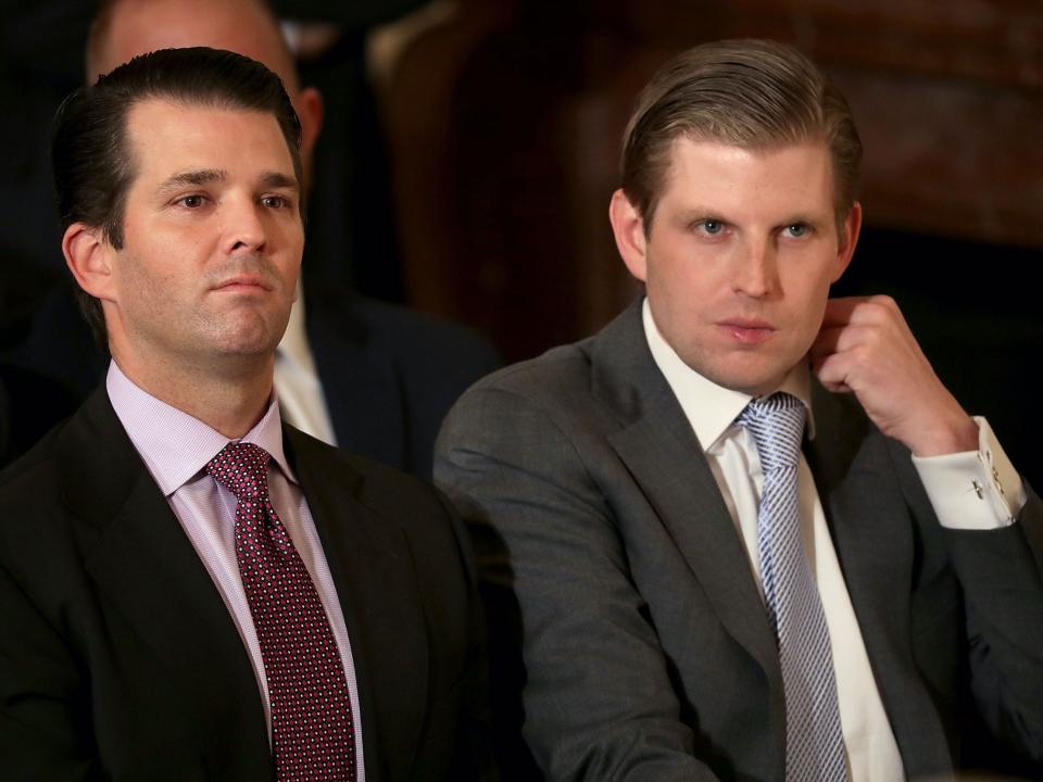 Donald Trump Jr. and Eric Trump sit next to each other.